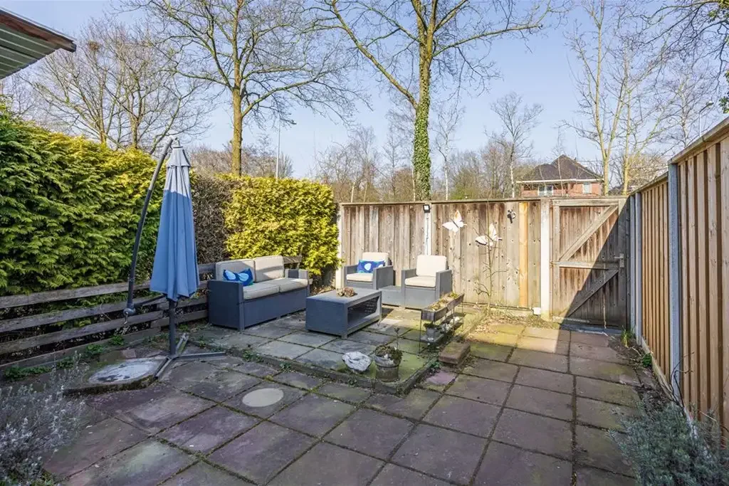 geblurde versie van de foto als achtergrond