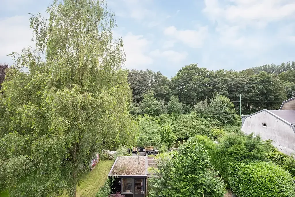 geblurde versie van de foto als achtergrond