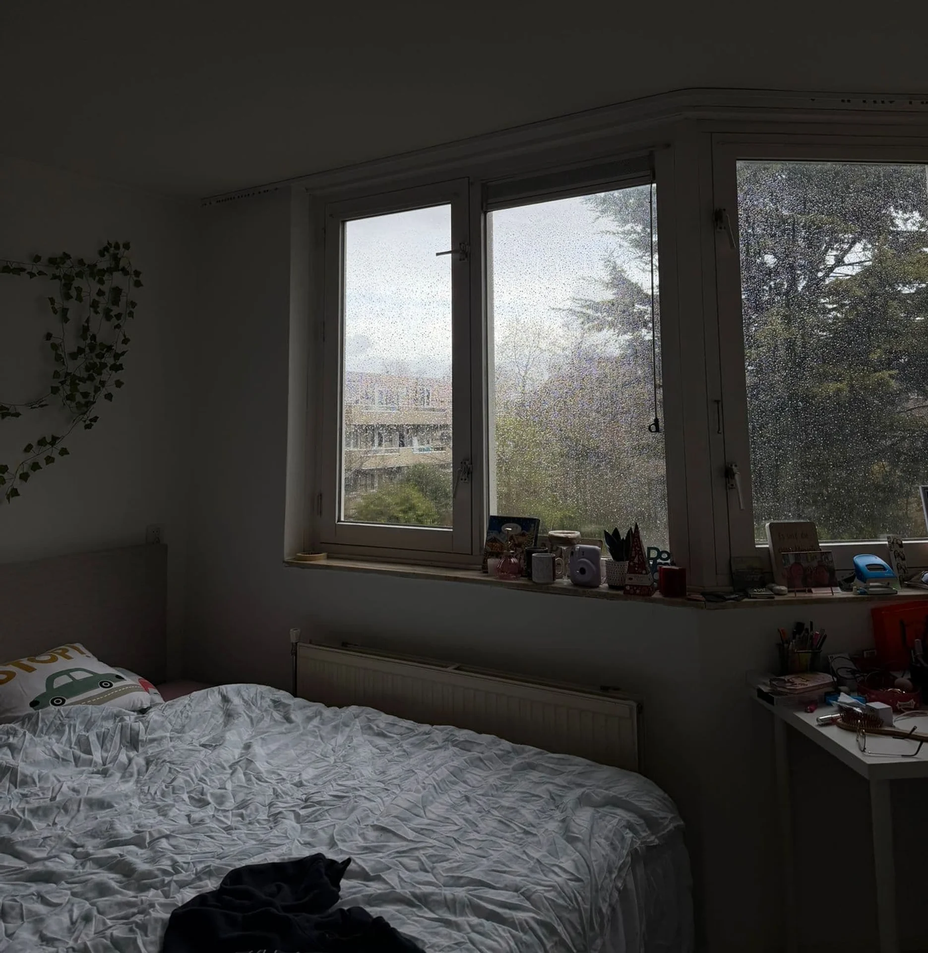 Foto van de Kamer gelegen aan de Goudse Rijweg in Rotterdam