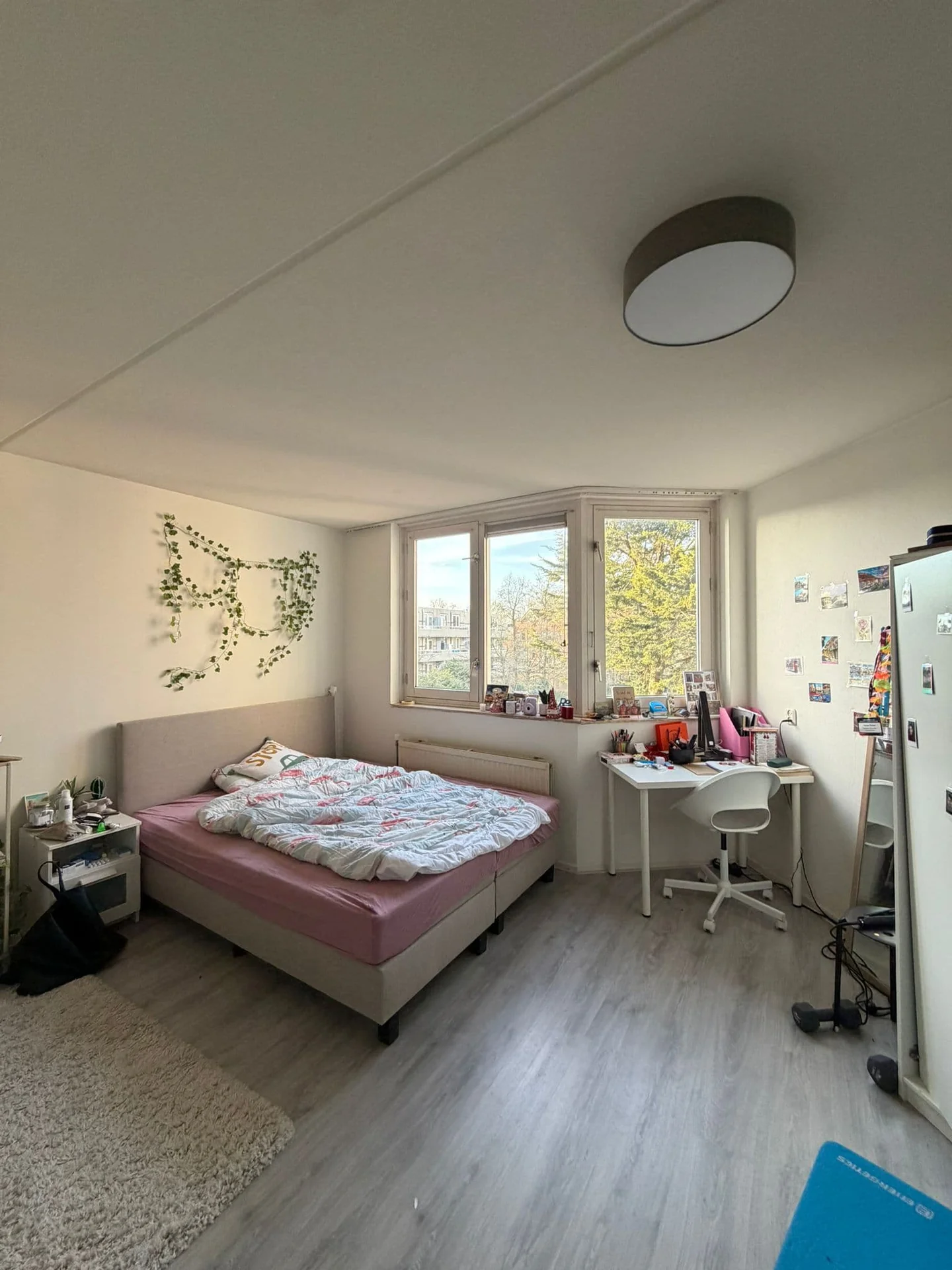 Foto van de Kamer gelegen aan de Goudse Rijweg in Rotterdam