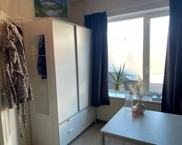 geblurde versie van de foto als achtergrond