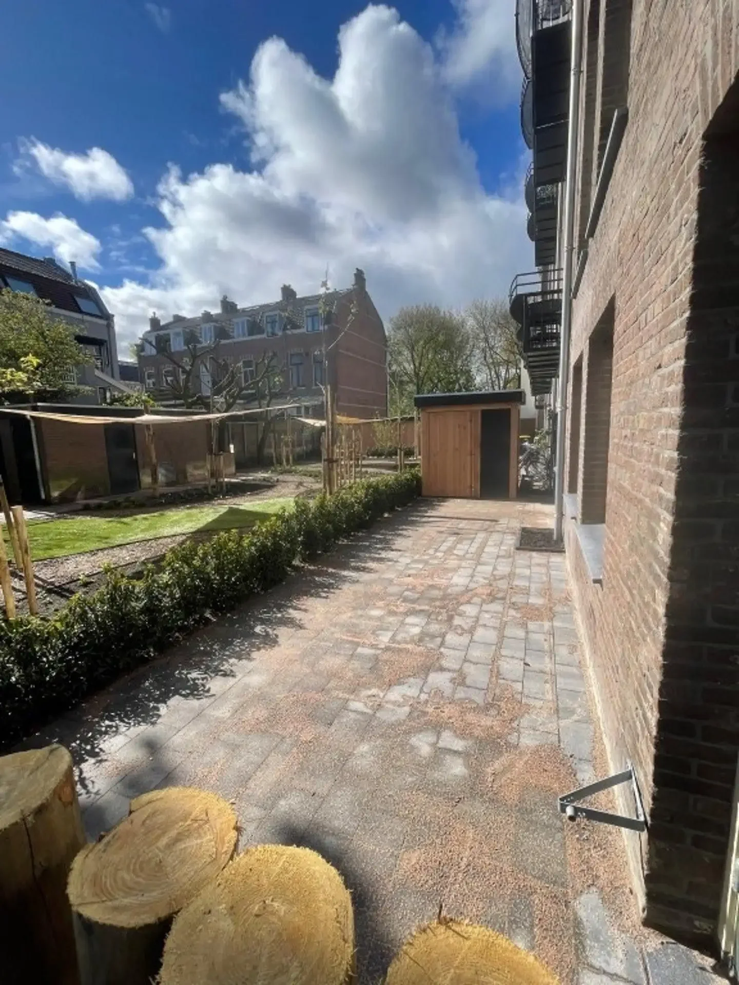 geblurde versie van de foto als achtergrond