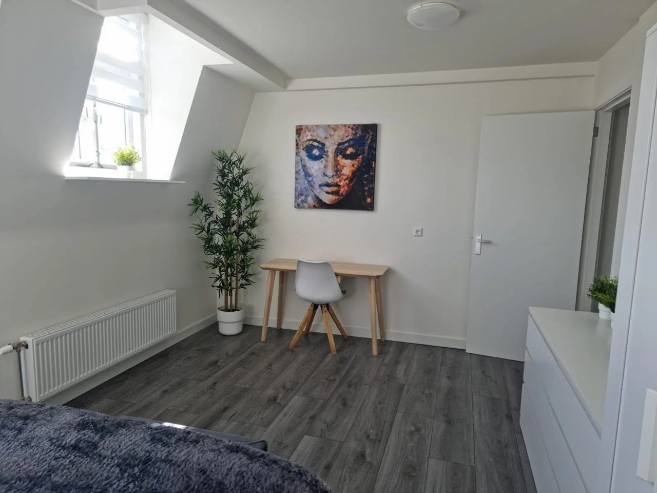 geblurde versie van de foto als achtergrond