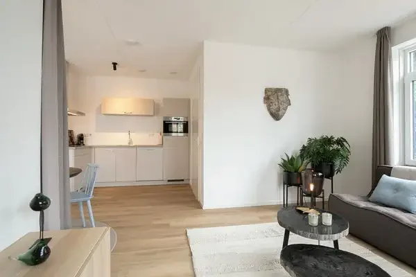 geblurde versie van de foto als achtergrond