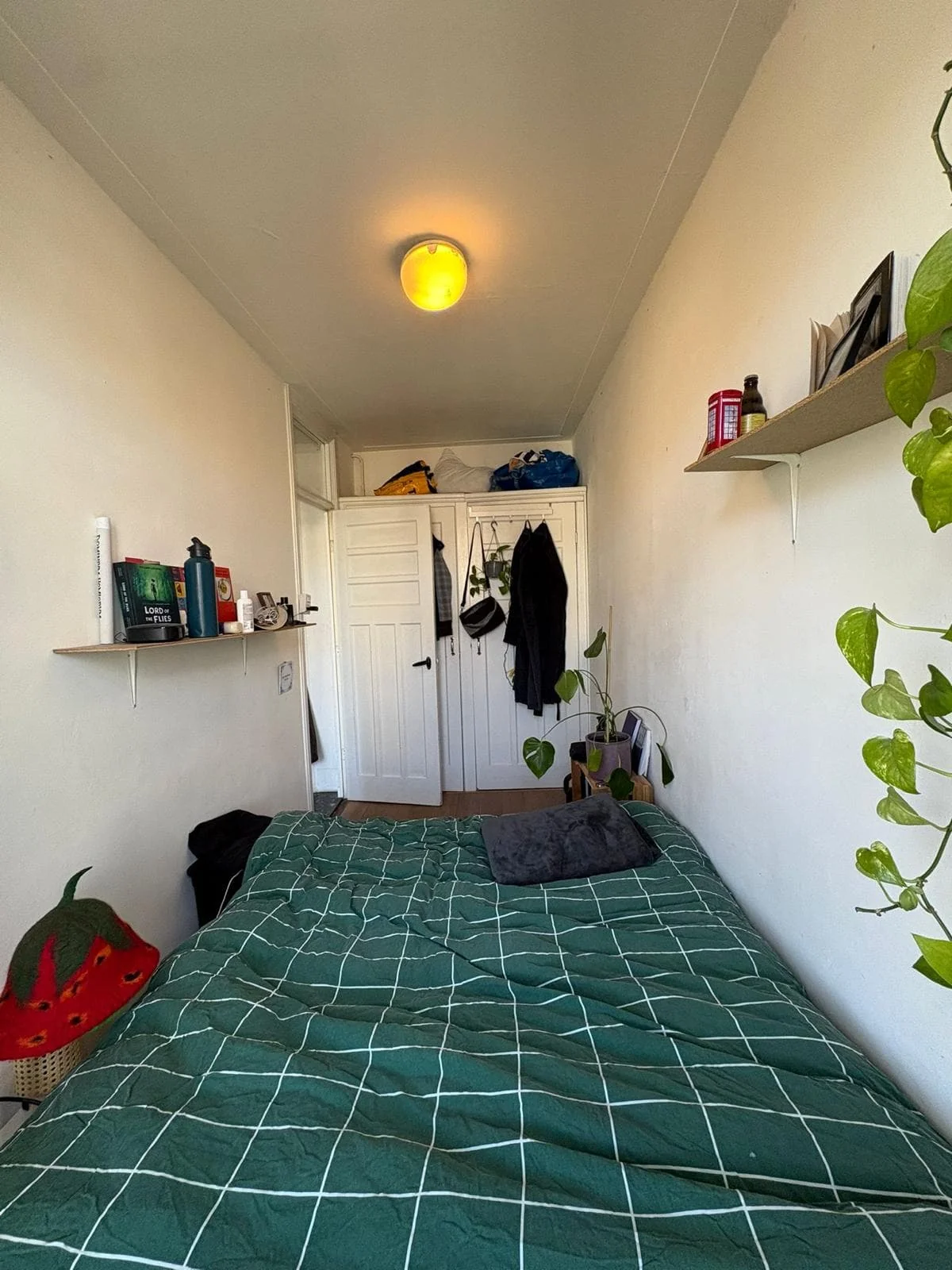 Foto van de Kamer gelegen aan de Mercatorstraat in Amsterdam