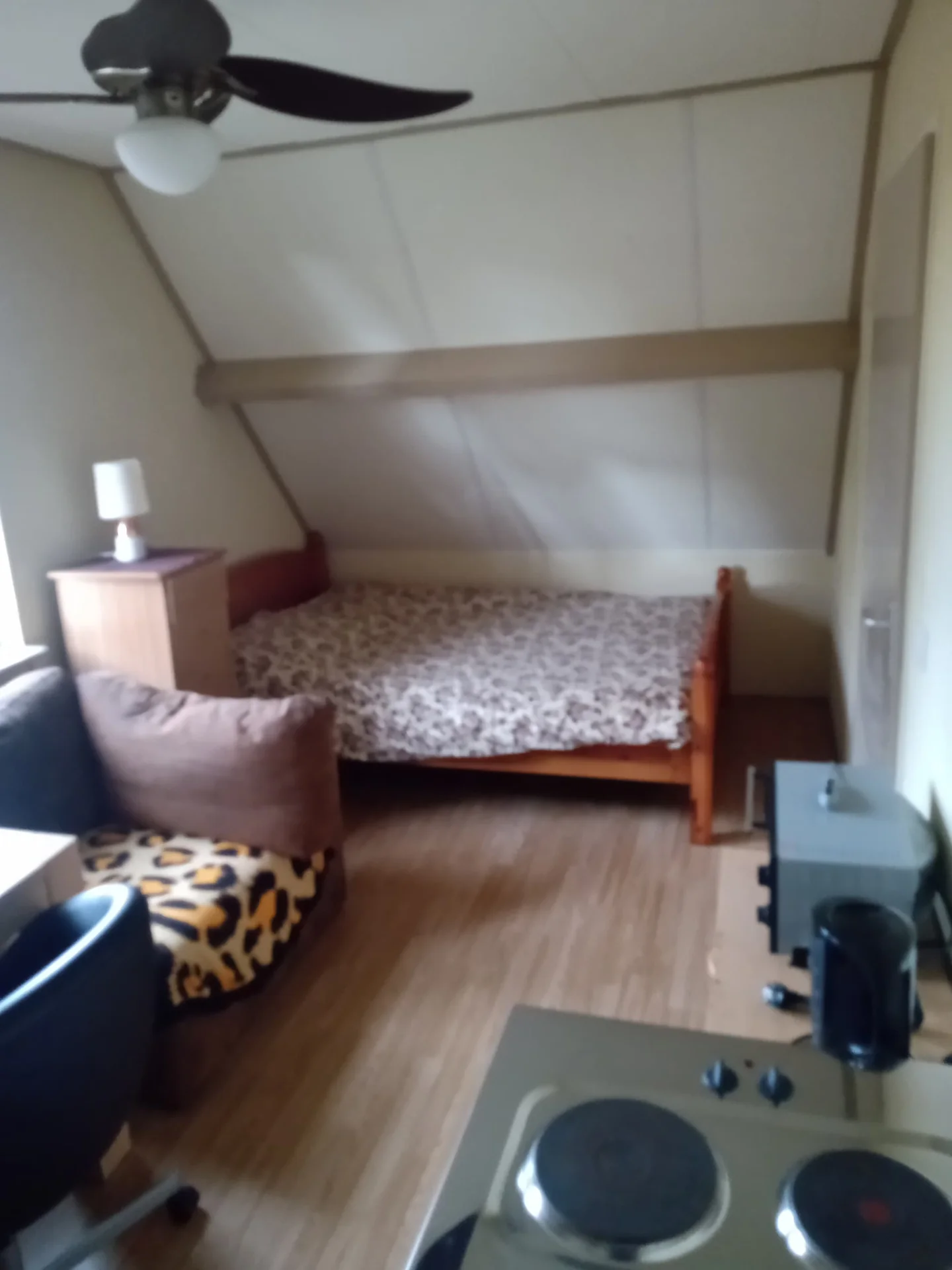 geblurde versie van de foto als achtergrond