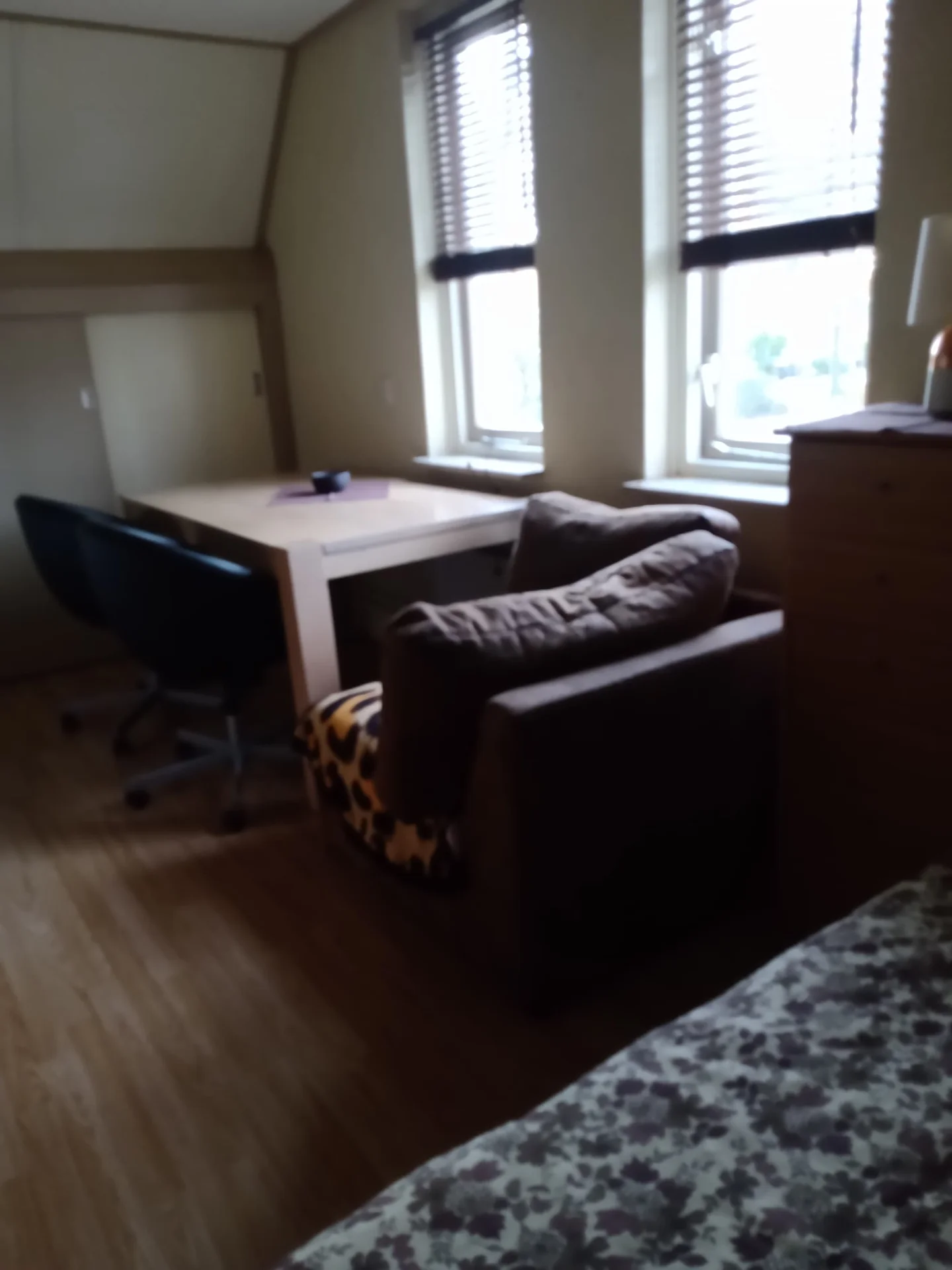 geblurde versie van de foto als achtergrond