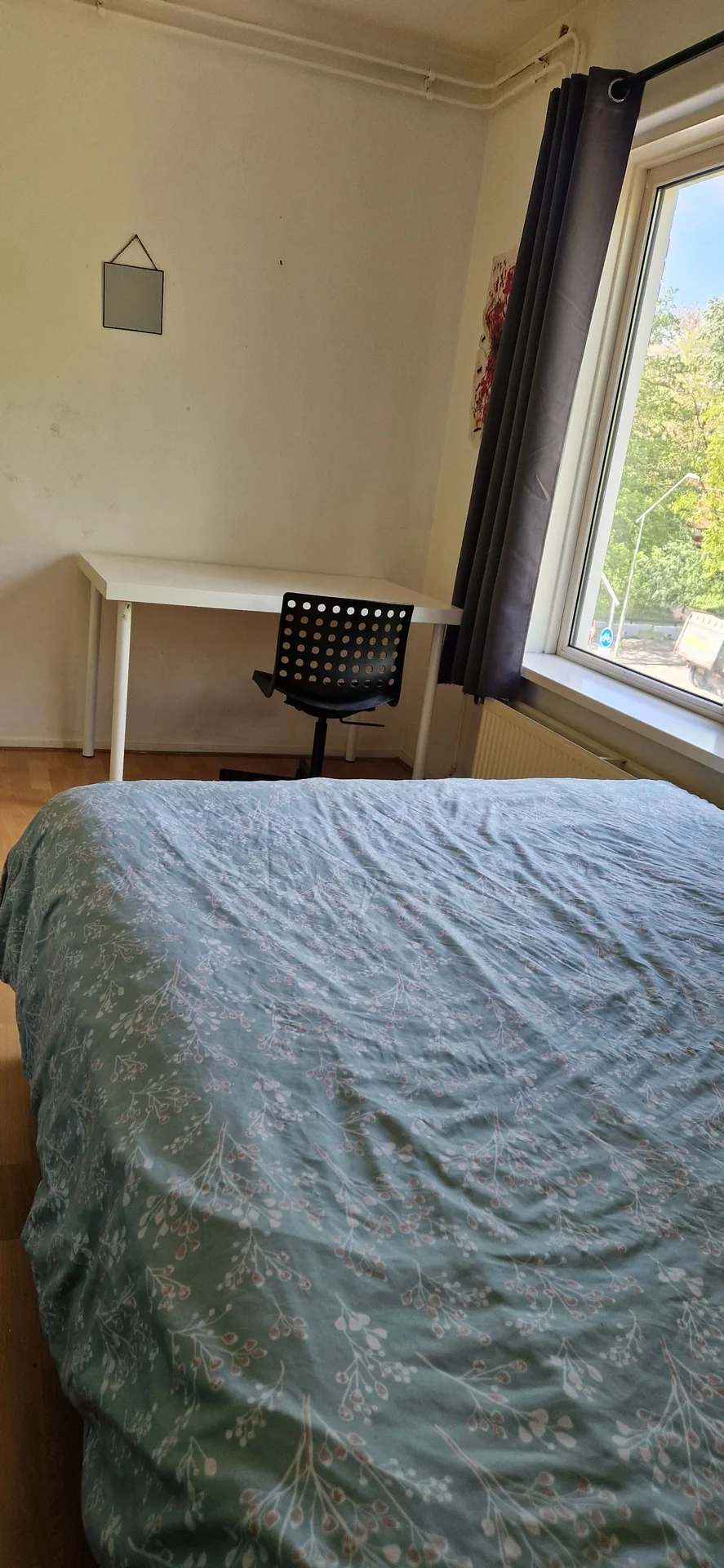 geblurde versie van de foto als achtergrond