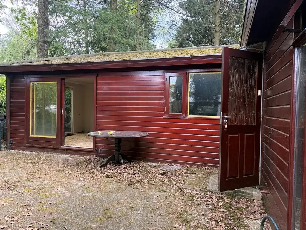 geblurde versie van de foto als achtergrond
