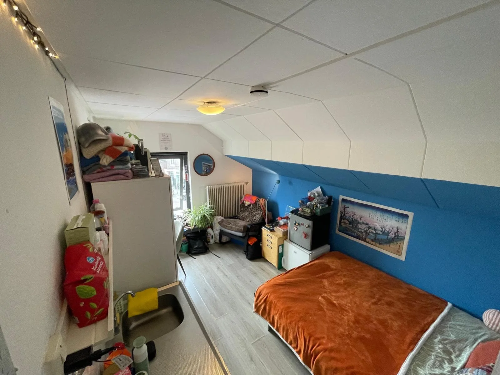 geblurde versie van de foto als achtergrond