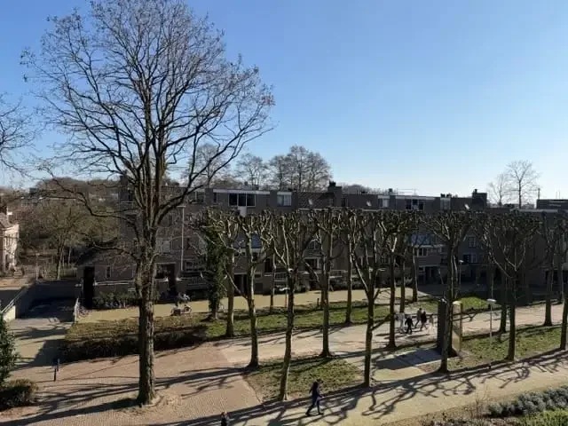 geblurde versie van de foto als achtergrond