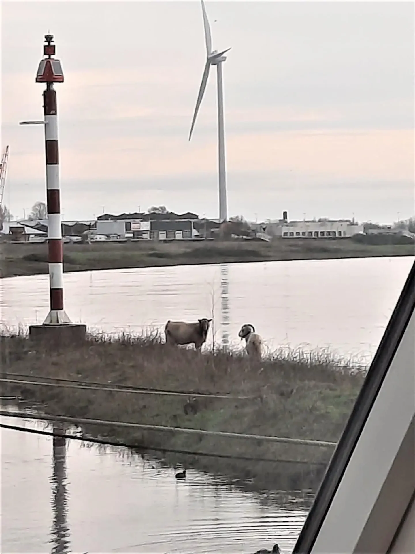 Foto van de Appartement gelegen aan de Westervoortsedijk in Arnhem