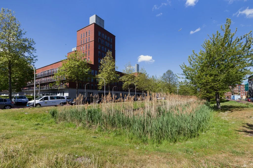 Foto van de Appartement gelegen aan de Steentijdsingel in Den Haag