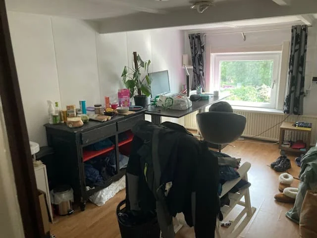 geblurde versie van de foto als achtergrond