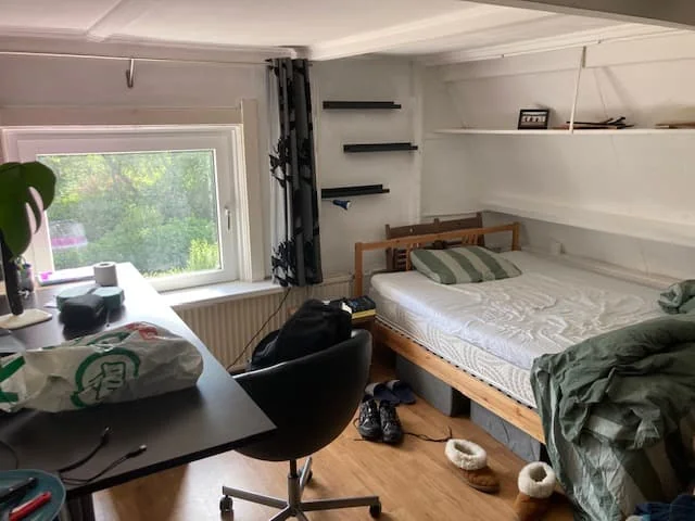 geblurde versie van de foto als achtergrond