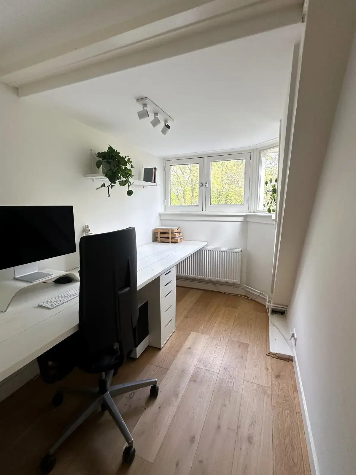geblurde versie van de foto als achtergrond