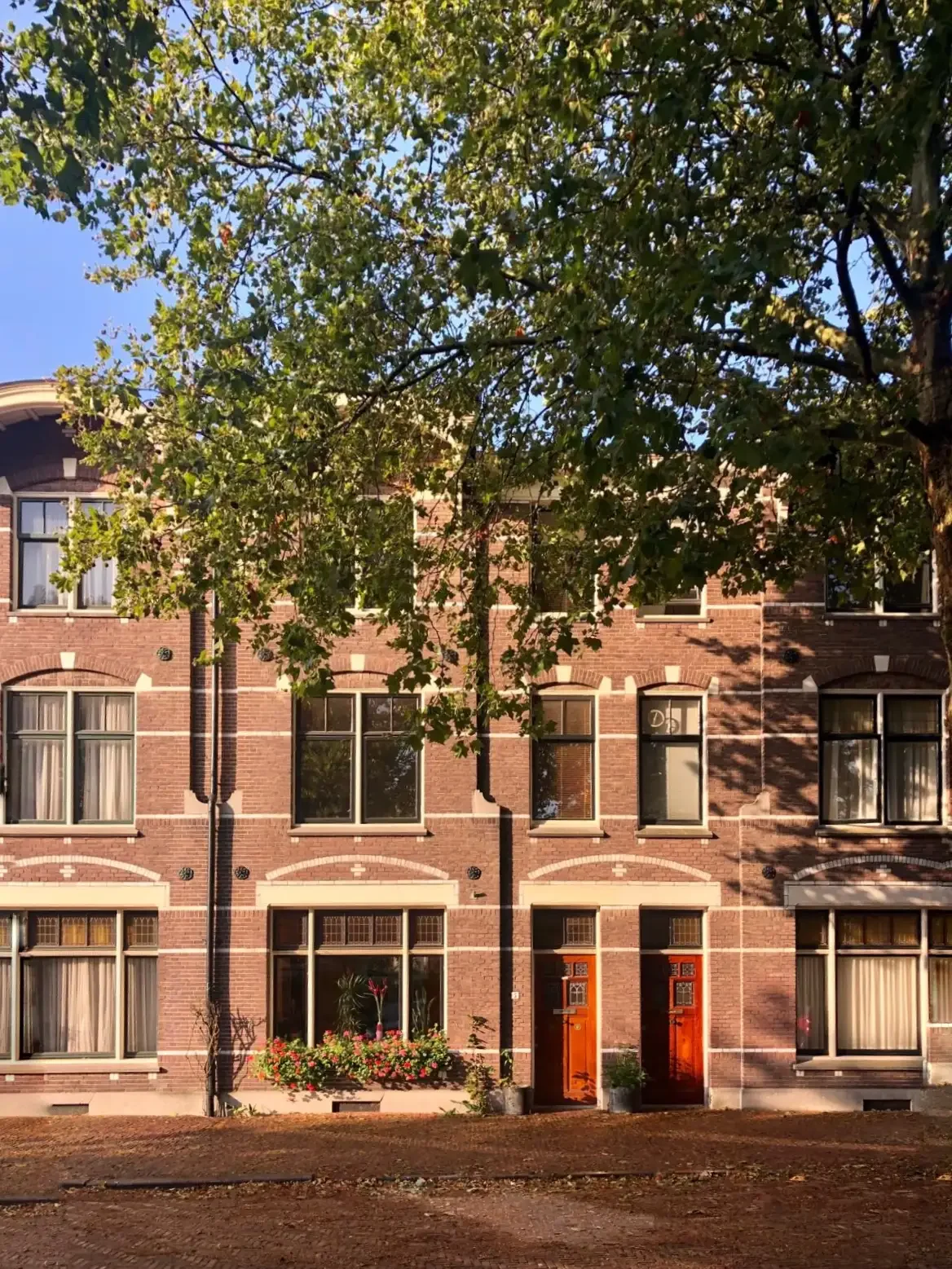 geblurde versie van de foto als achtergrond