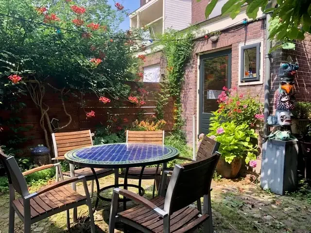 geblurde versie van de foto als achtergrond
