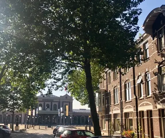 geblurde versie van de foto als achtergrond