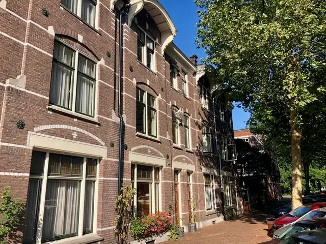 geblurde versie van de foto als achtergrond