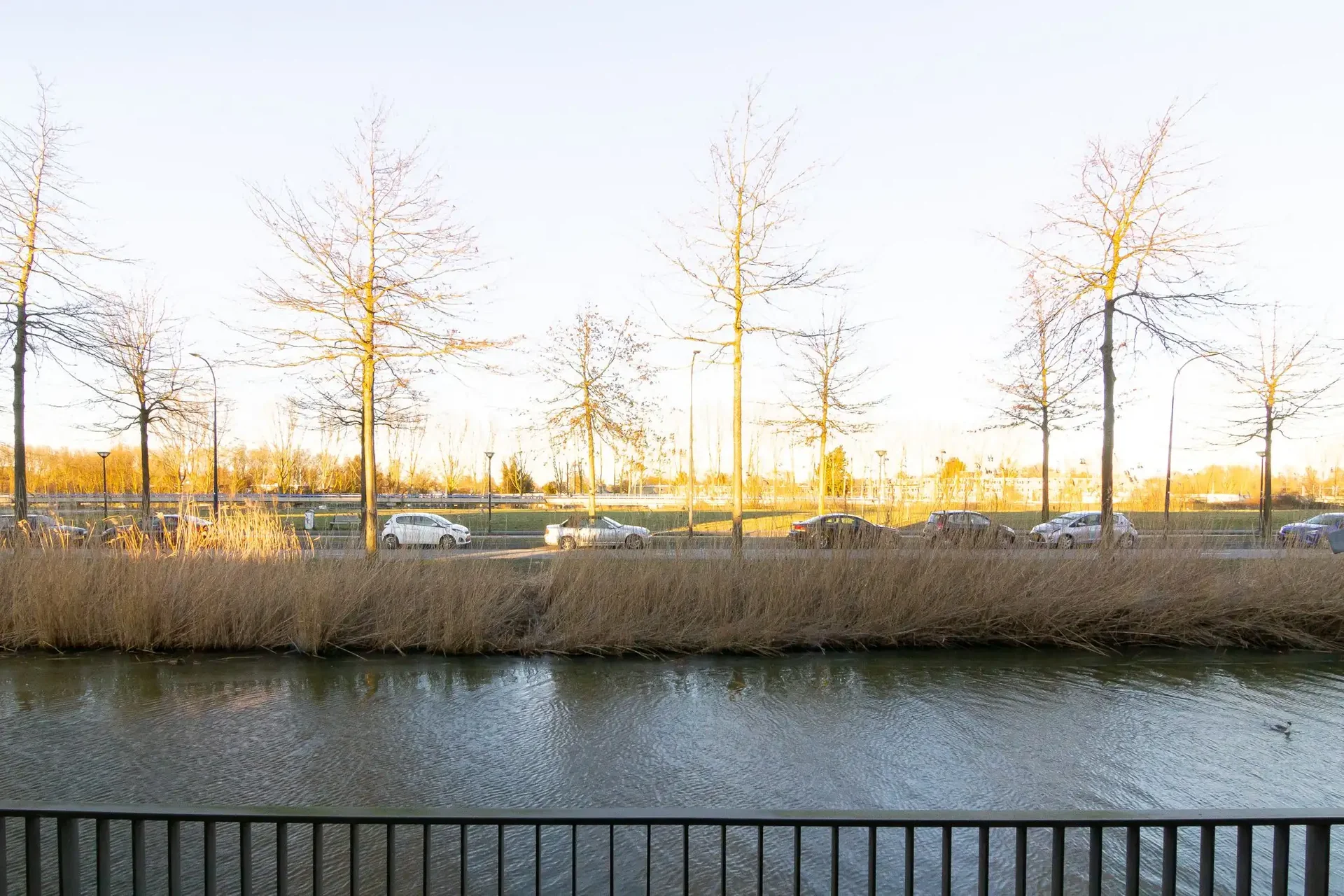 geblurde versie van de foto als achtergrond