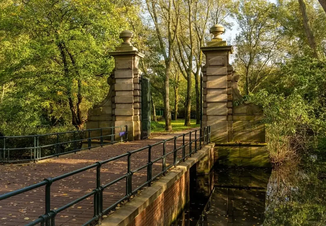 geblurde versie van de foto als achtergrond