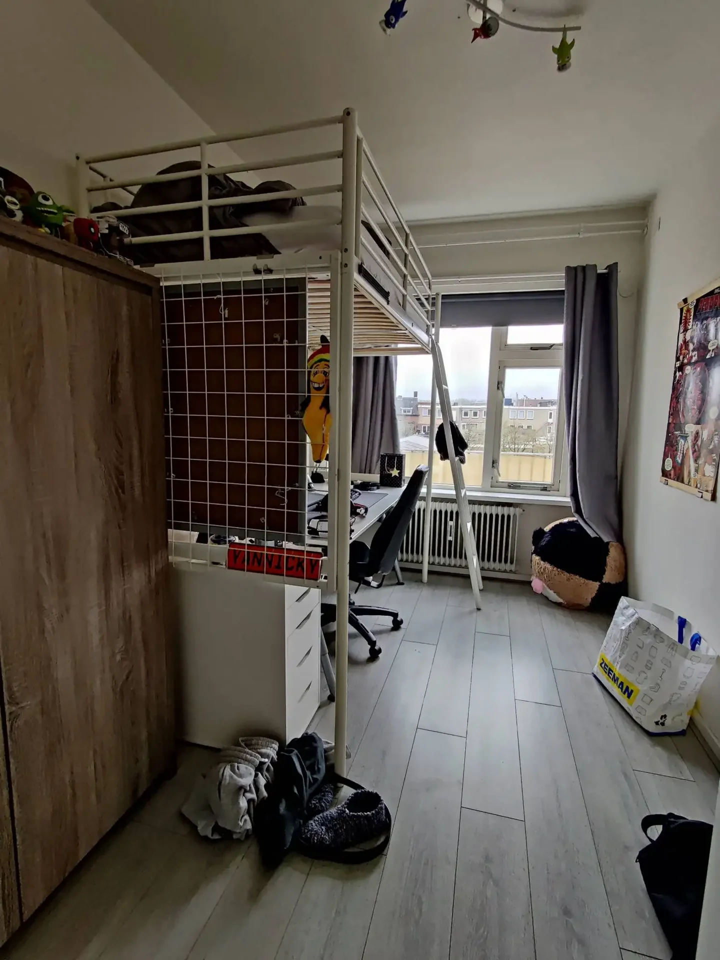 geblurde versie van de foto als achtergrond