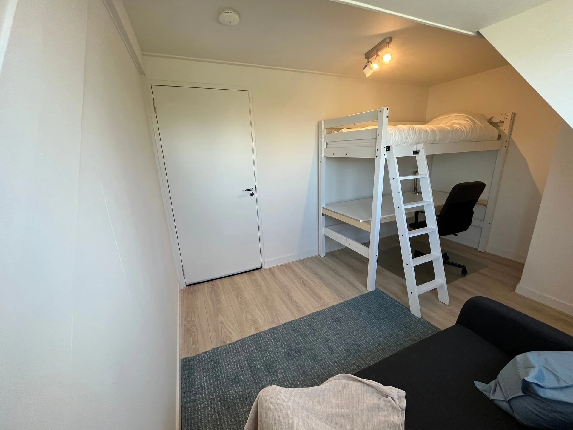 geblurde versie van de foto als achtergrond