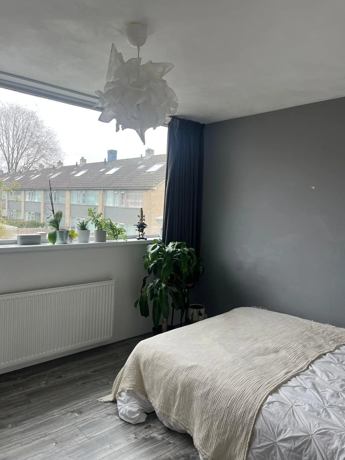 geblurde versie van de foto als achtergrond