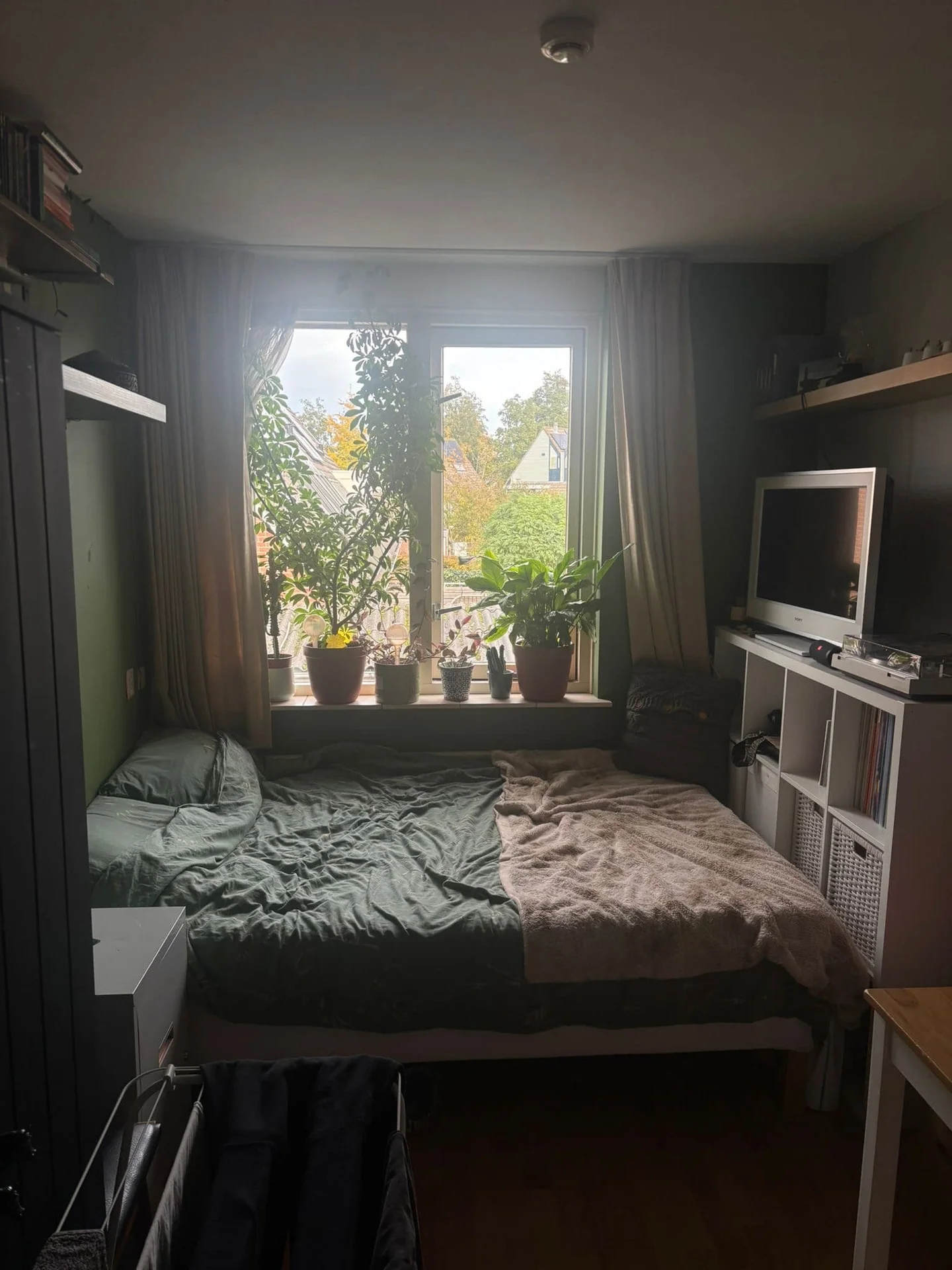 geblurde versie van de foto als achtergrond