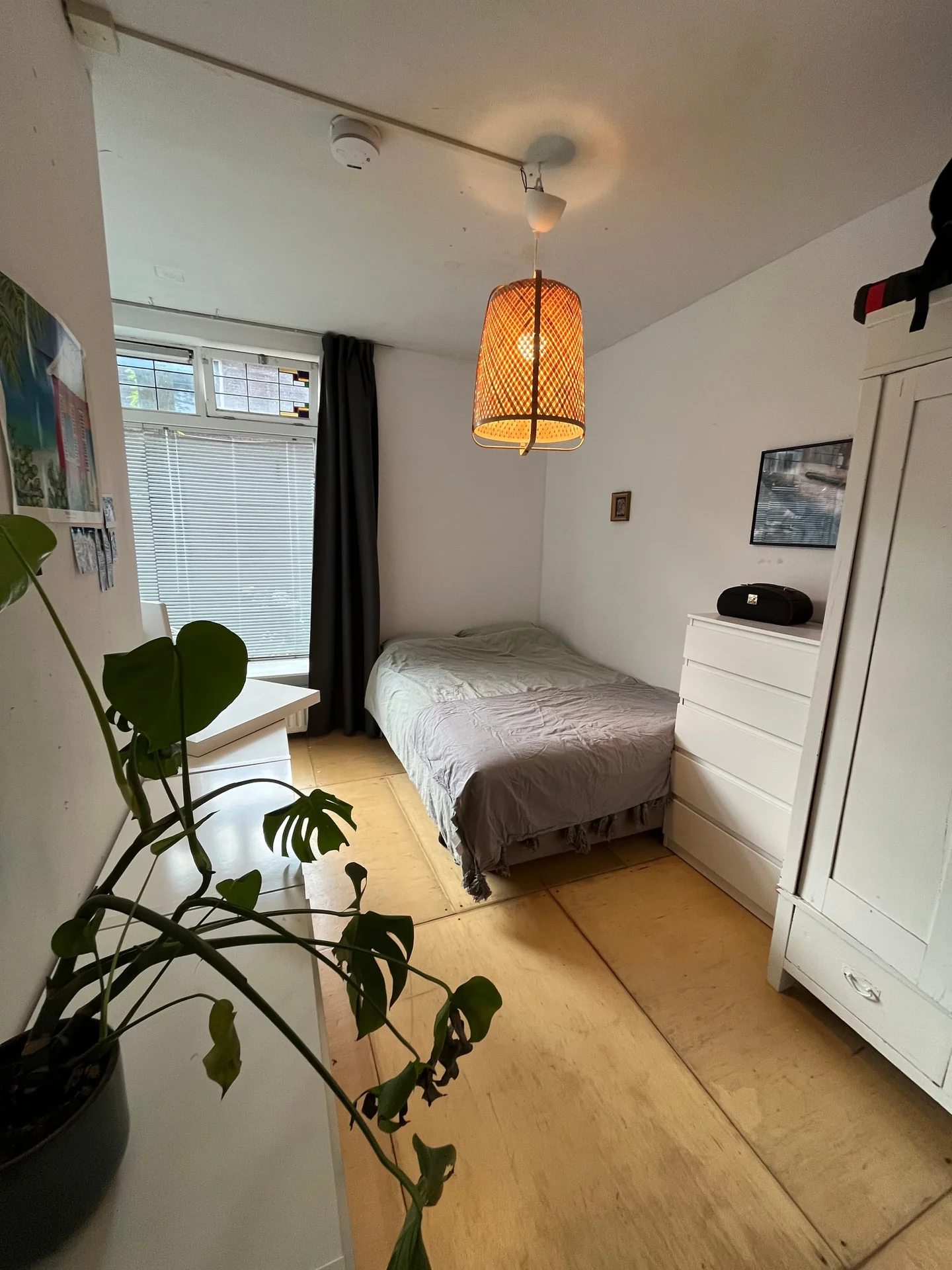 Foto van de Kamer gelegen aan de Van de Spiegelstraat in Delft