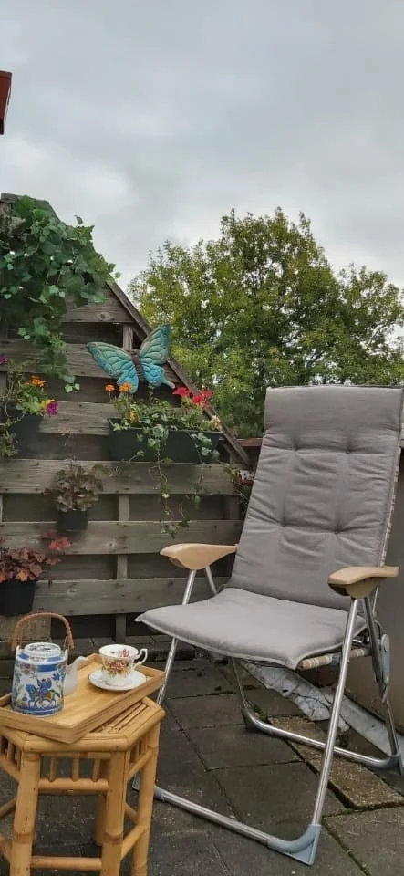 geblurde versie van de foto als achtergrond
