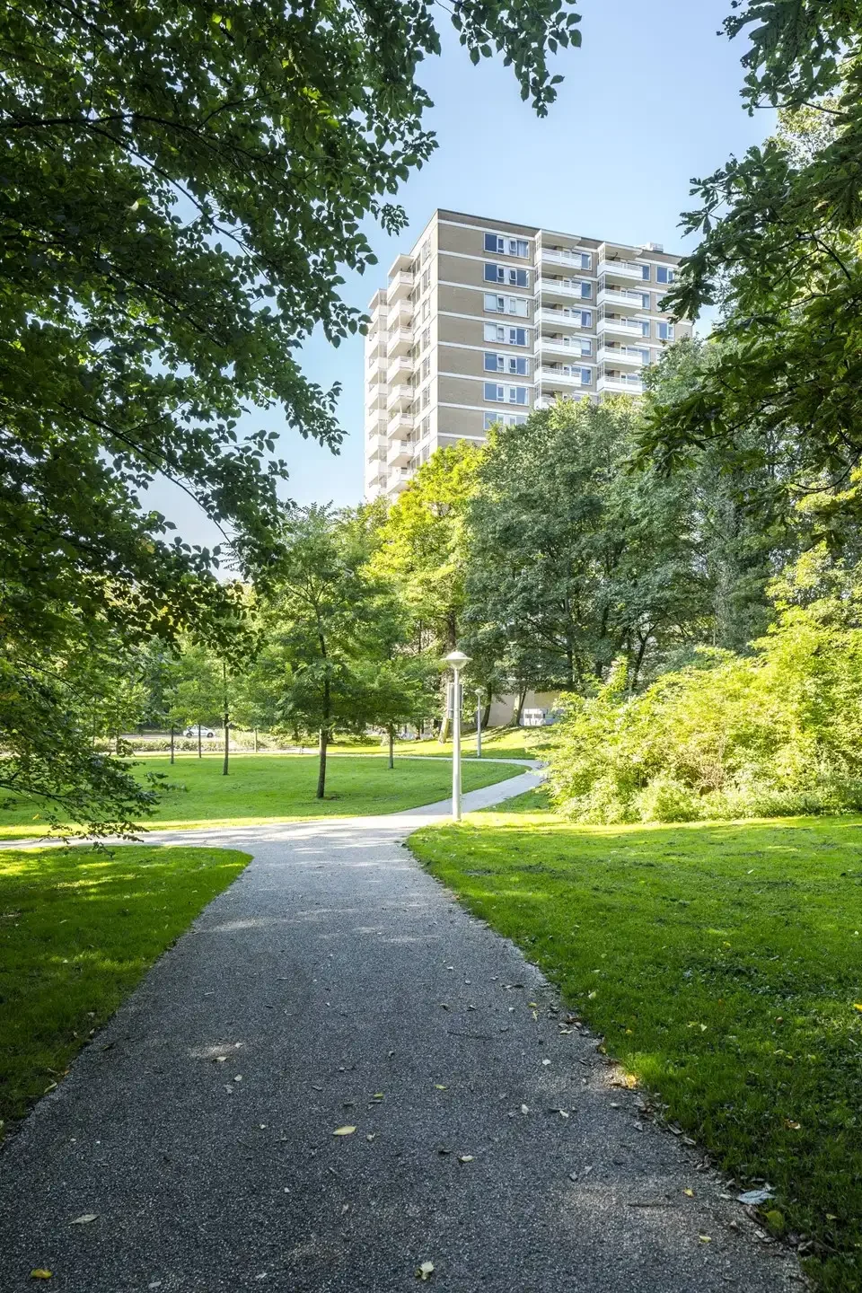 geblurde versie van de foto als achtergrond