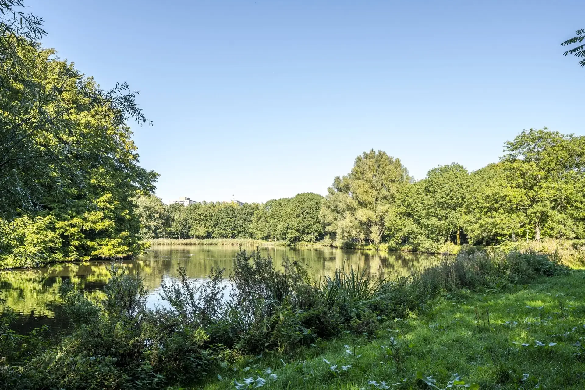 geblurde versie van de foto als achtergrond