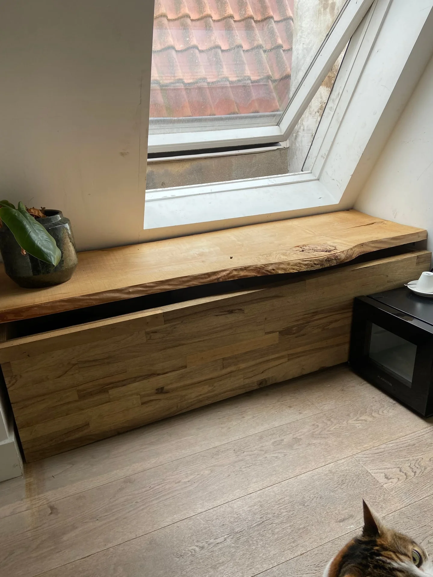 geblurde versie van de foto als achtergrond