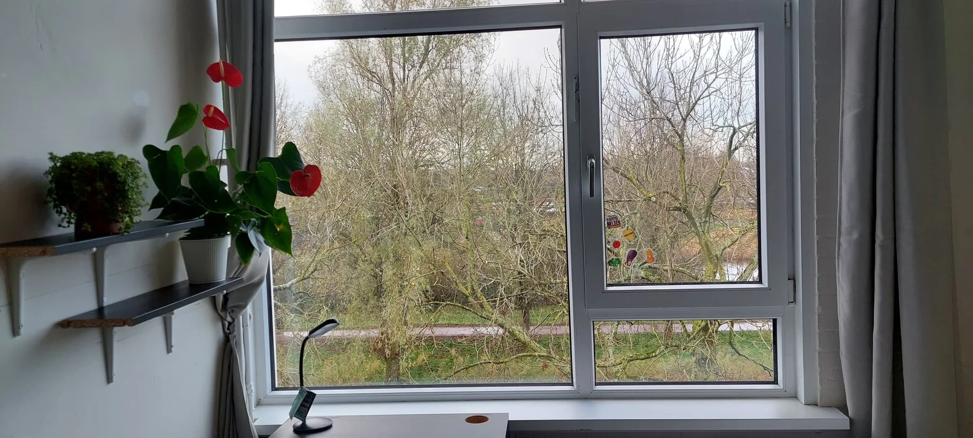 Foto van de Kamer gelegen aan de Voordek in Amsterdam
