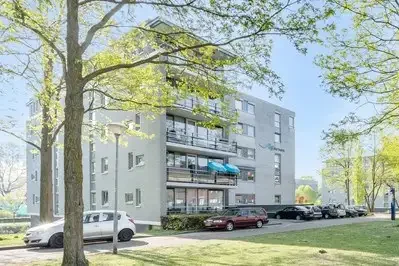 geblurde versie van de foto als achtergrond