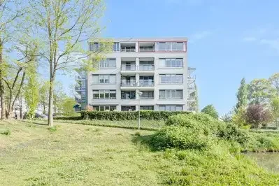 geblurde versie van de foto als achtergrond