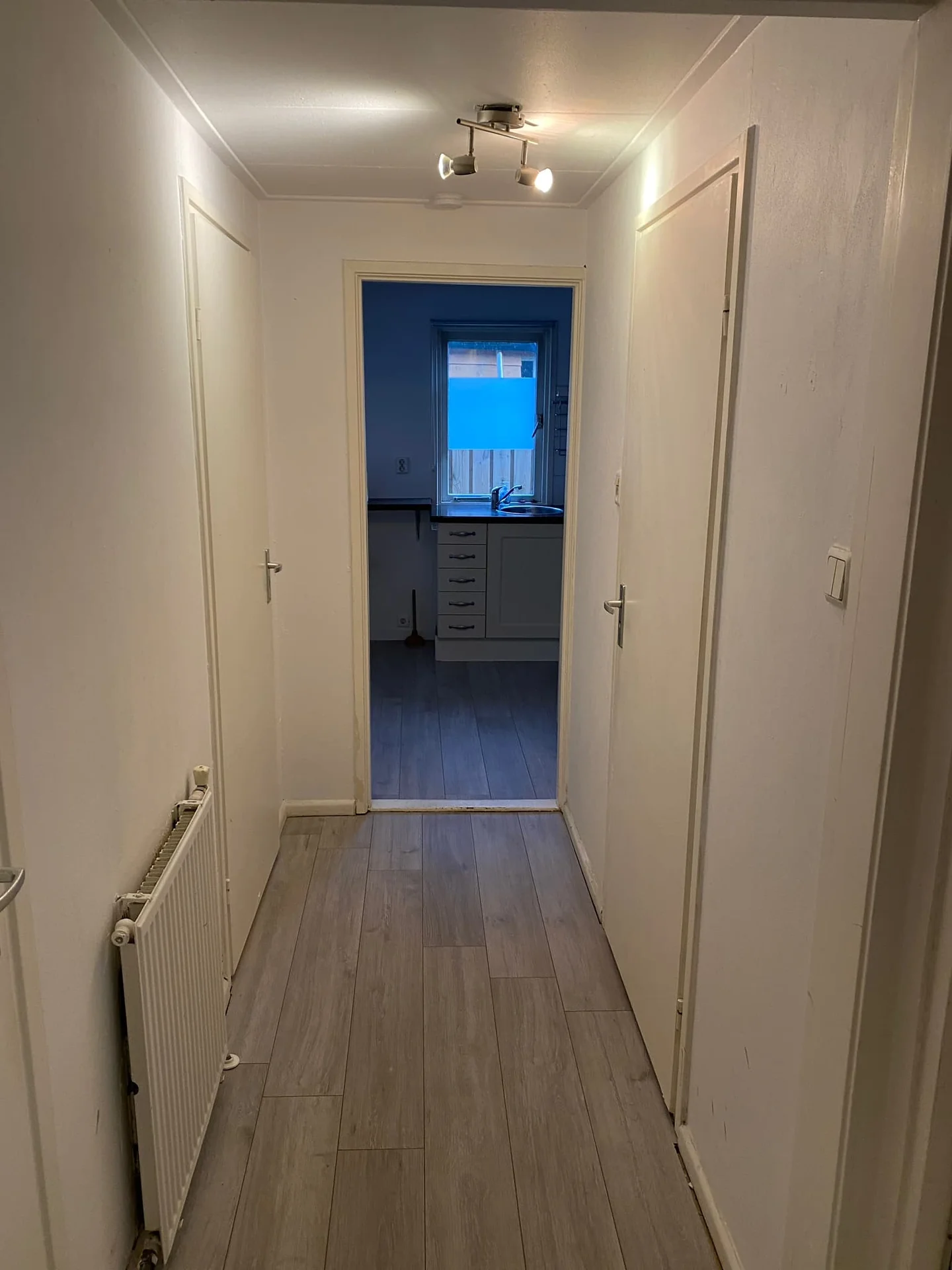 geblurde versie van de foto als achtergrond