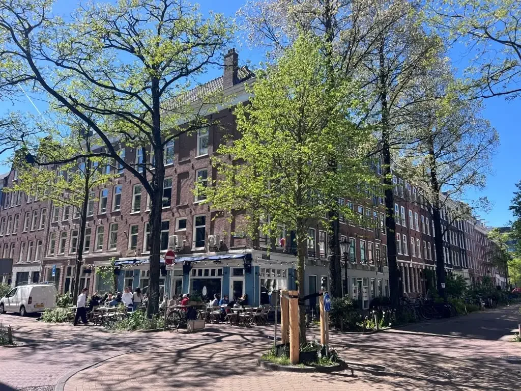 geblurde versie van de foto als achtergrond