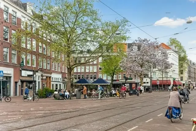geblurde versie van de foto als achtergrond