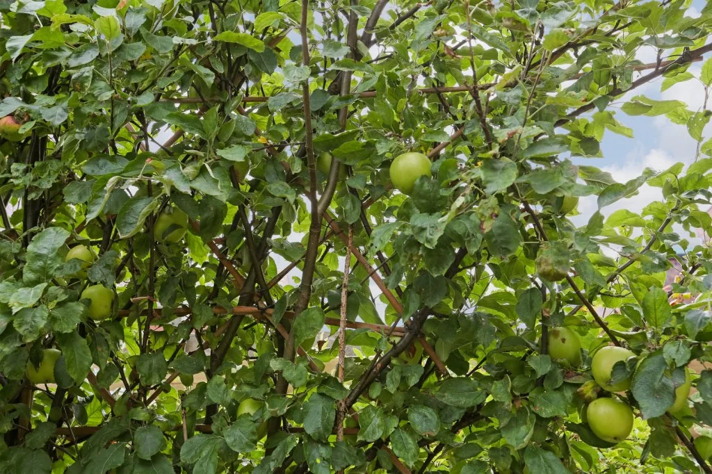 Foto van de Appartement gelegen aan de Keerkring in Heerhugowaard