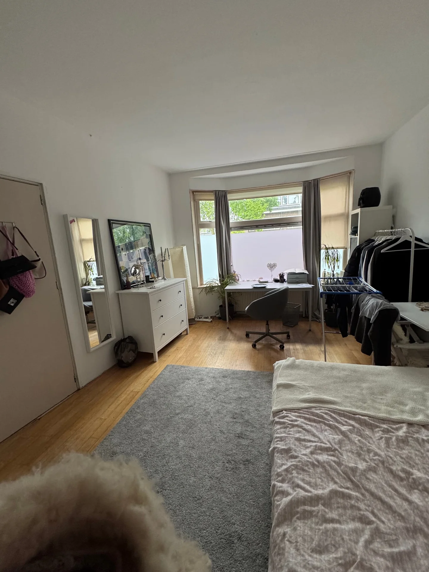 Foto van de Kamer gelegen aan de Prinsesseweg in Groningen
