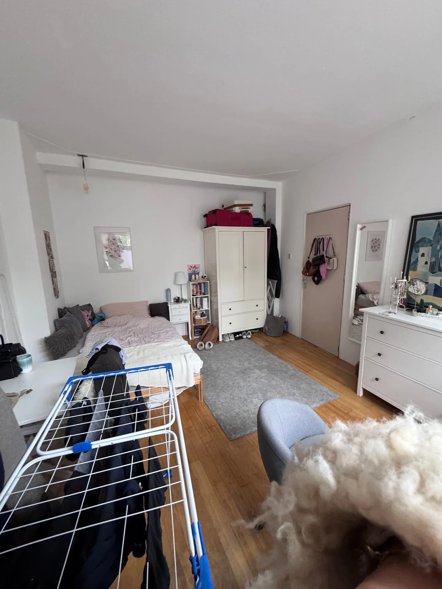 Foto van de Kamer gelegen aan de Prinsesseweg in Groningen
