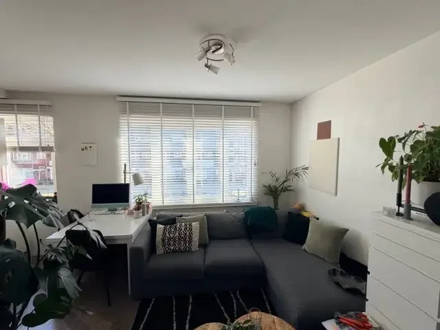 geblurde versie van de foto als achtergrond