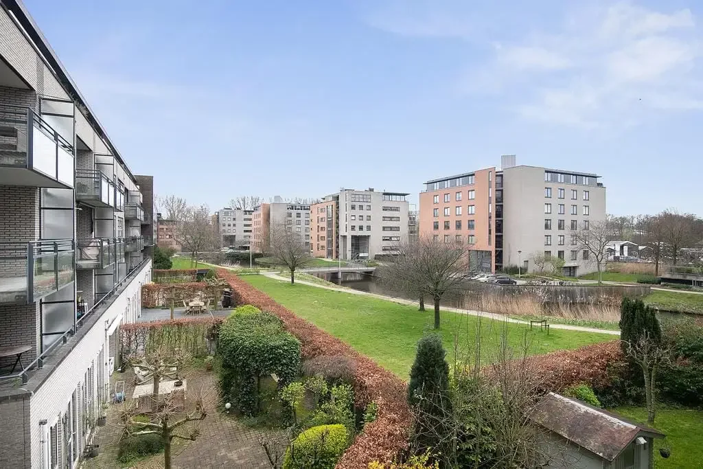 geblurde versie van de foto als achtergrond