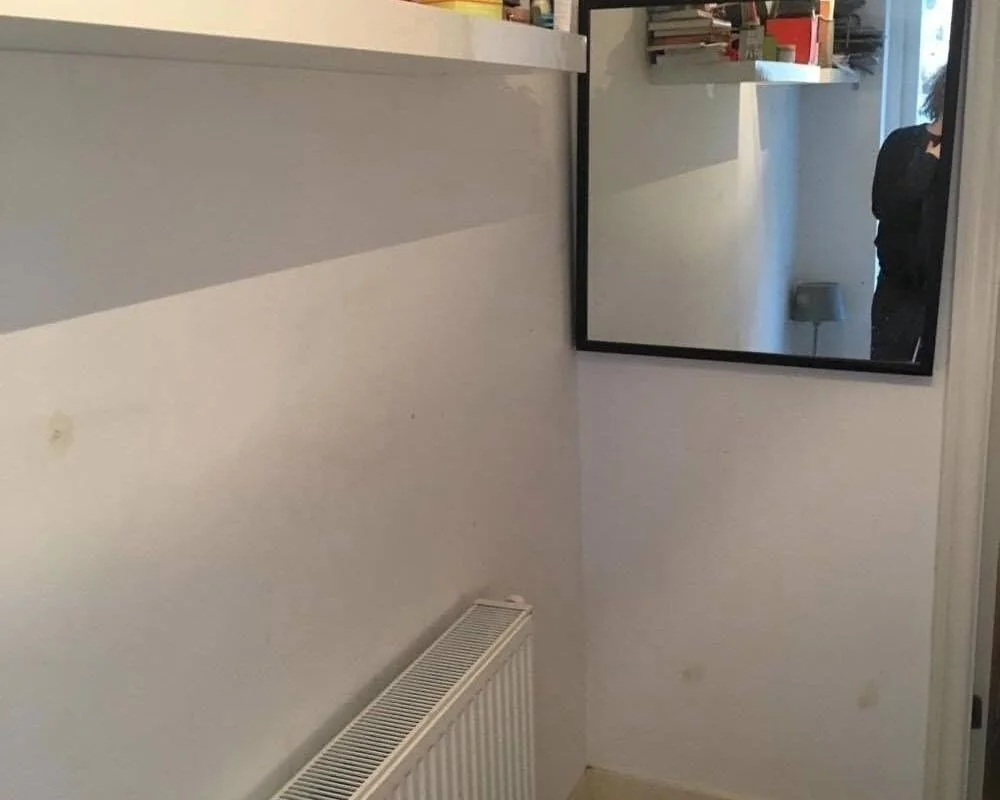 geblurde versie van de foto als achtergrond
