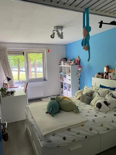 geblurde versie van de foto als achtergrond