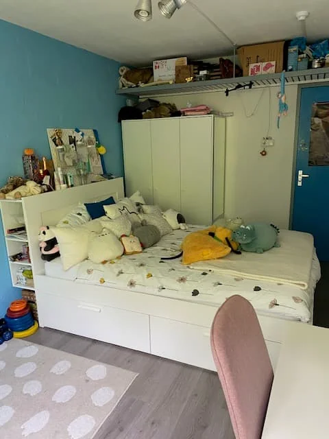 geblurde versie van de foto als achtergrond
