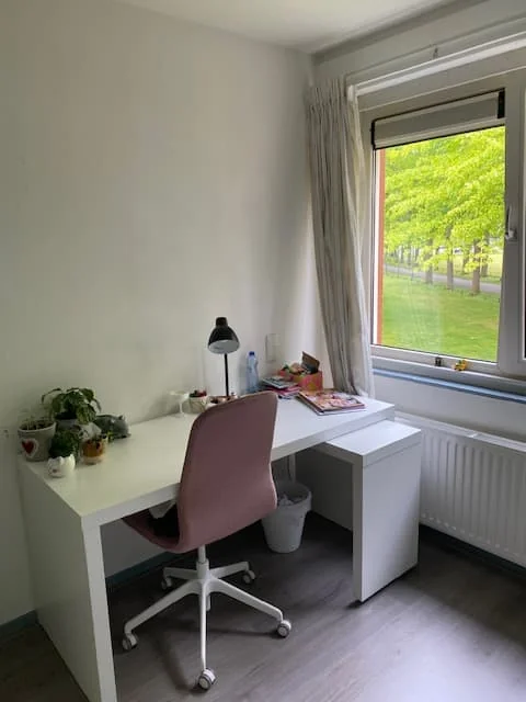 geblurde versie van de foto als achtergrond